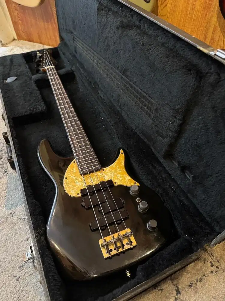 Fender urge stu hamm