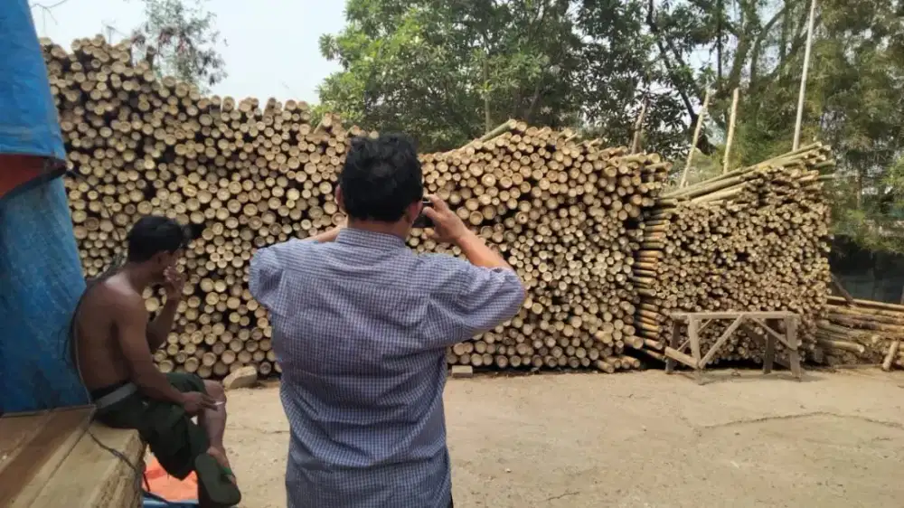 Jual bambu steger dan kaso
