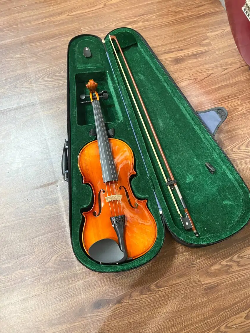 Biola Skylark MV005 4/4 Violin