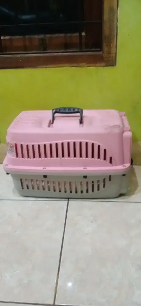 Kandang kucing baju kucing dan tenda kucing