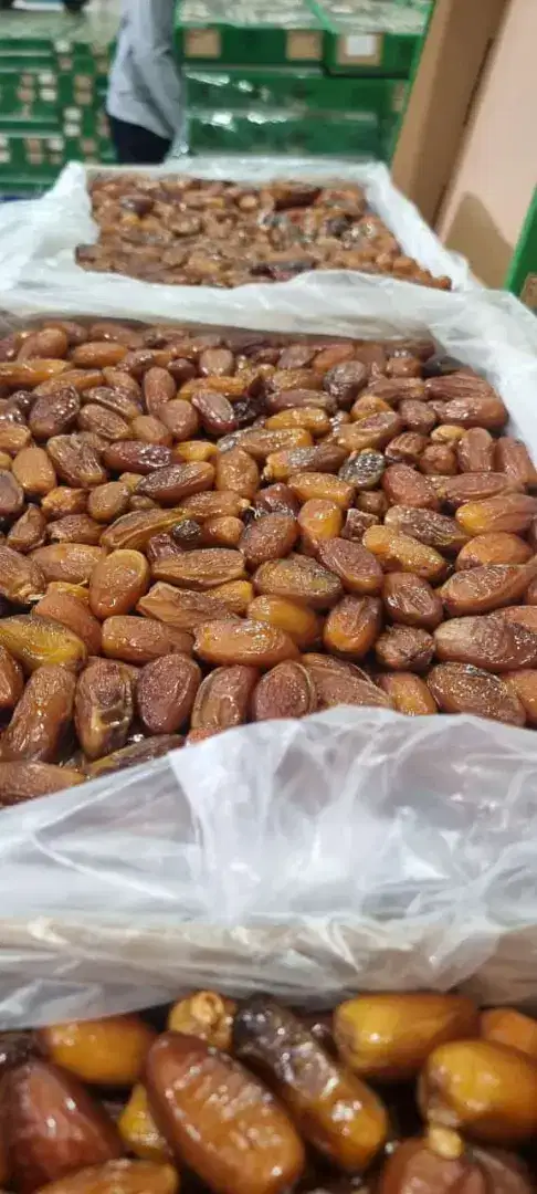 Kurma Madu Pruduk Baru dari Tunisia