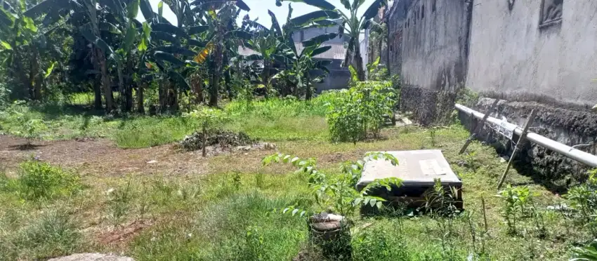 Dijual tanah 1.019mtr ujung aspal hrga 2.750.000 akses pruis
