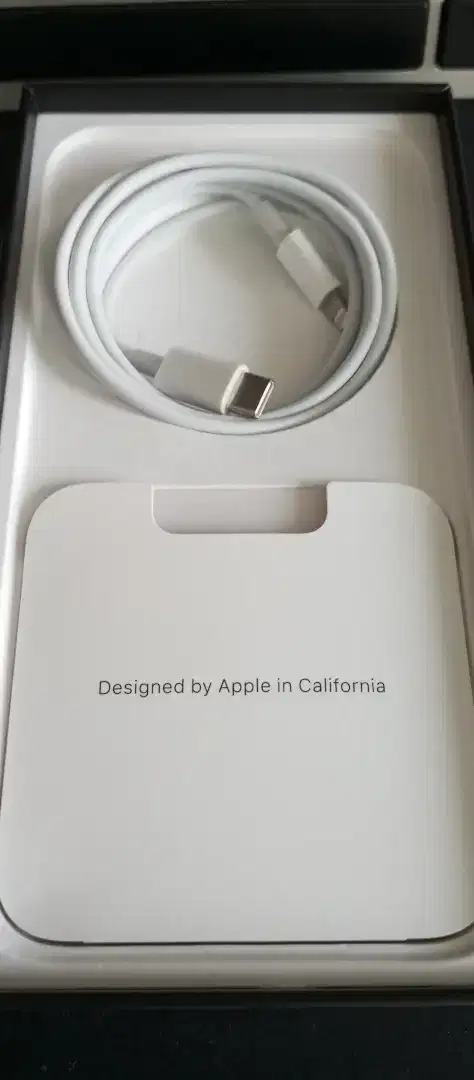 Apple USB C to Lightning original bawaan iphone