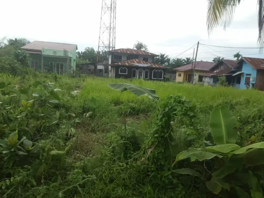 Di Jual Tanah Murah Lokasi setrategis 25m X 40m