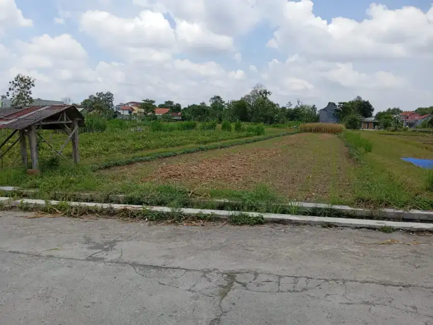 Disewakan tanah bagus dan strategis cocok untuk kost dan resto Maguwo