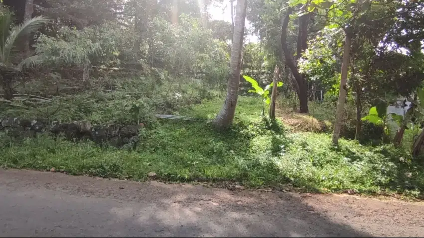 Di jual tanah murah tepi utama jalan Raya air terjun srambang park