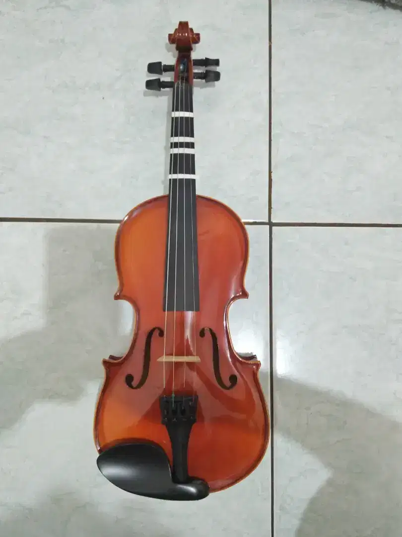 Biola kondisi mulus