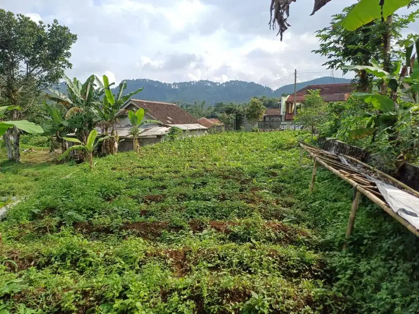 DIJUAL TANAH DEKAT JALAN RAYA KALIANGKRIK-MAGELANG