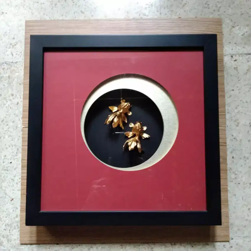 Goldfish frame designed by RISIS