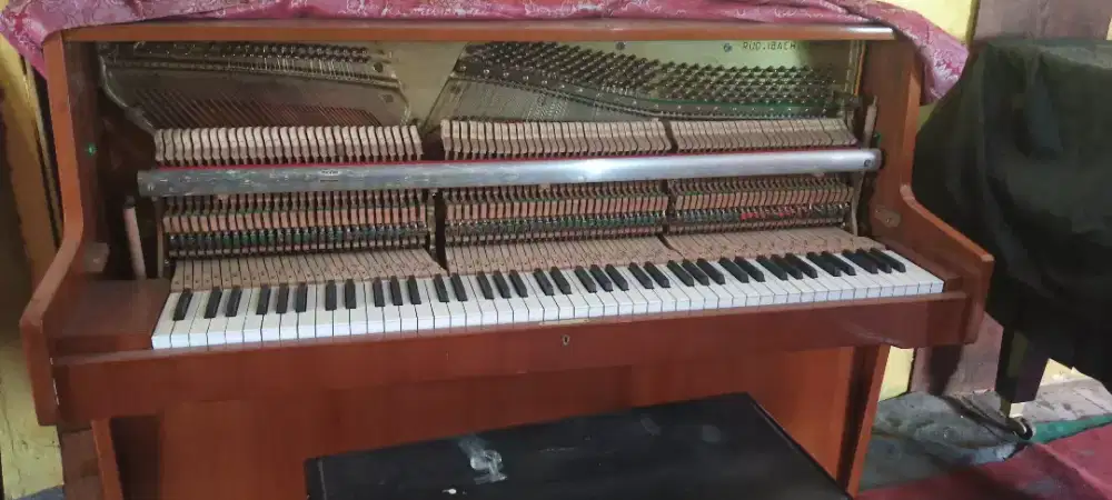 Service & Stem Piano Classic