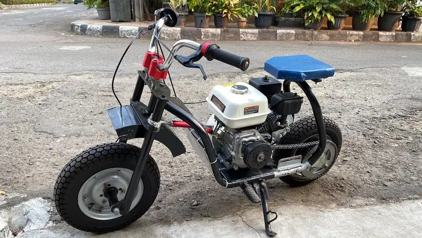 Mini bike custom