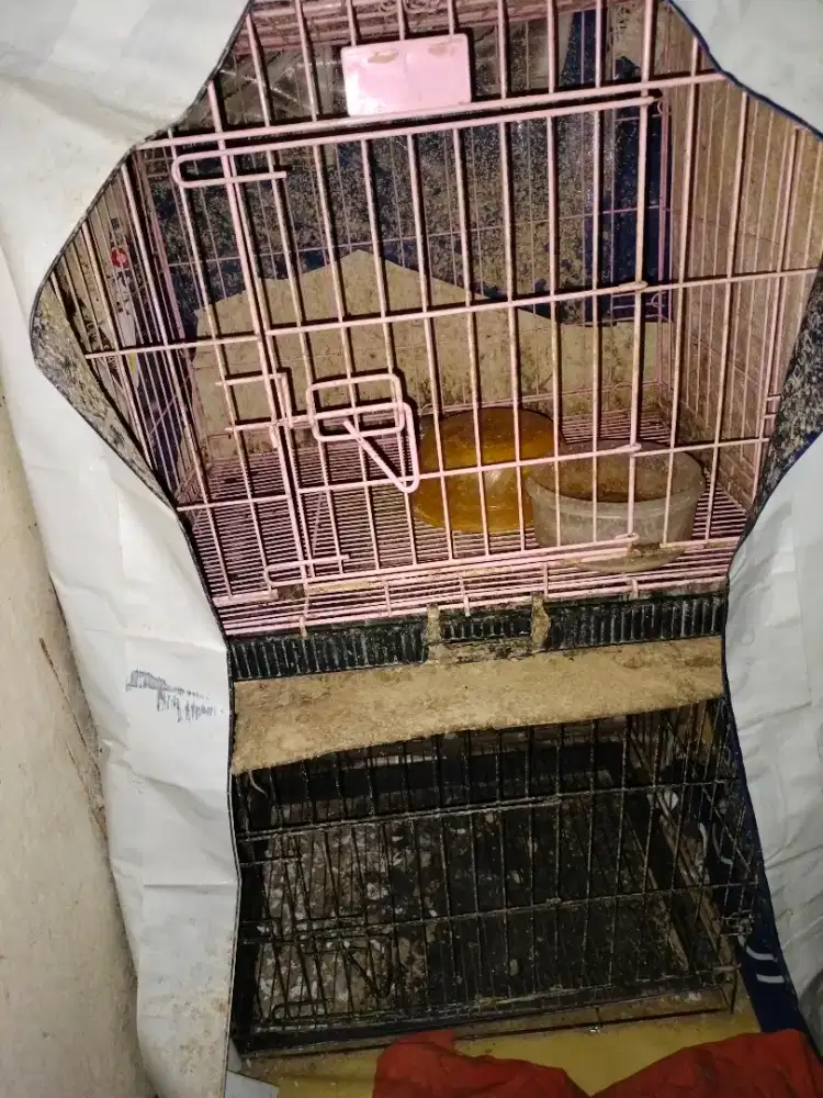 Kandang kucing besi tebal jual borongan