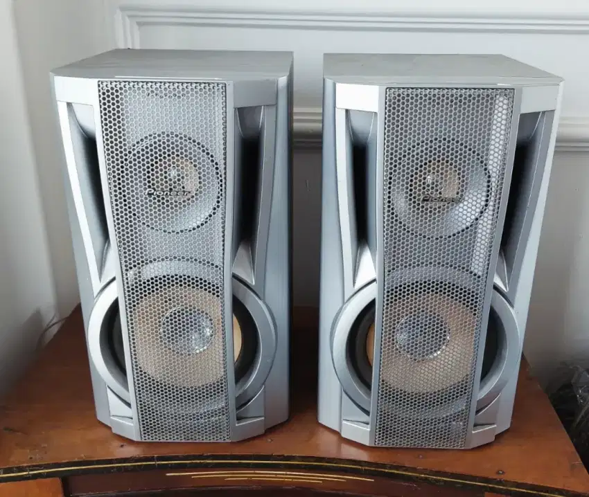 Pioneer S EV99V speaker