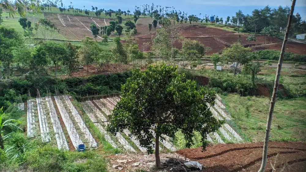 DIJUAL TANAH KAVLING