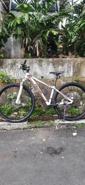 Sepeda mtb Polygon Tensor ban 29