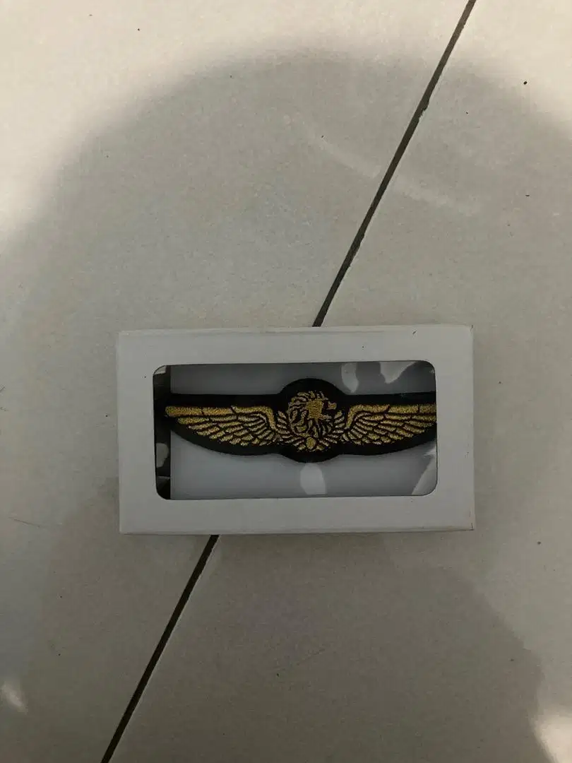 Wing pilot lion air