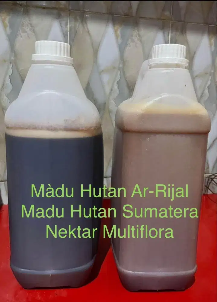 Madu Hutan Sialang Riau