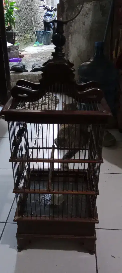 Sangkar burung kecil