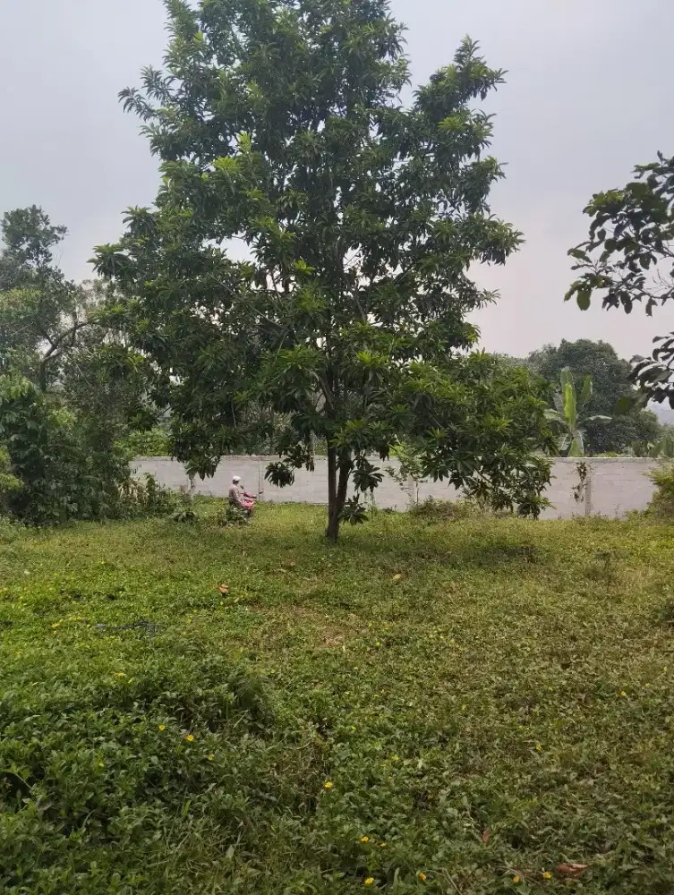 Jual Lahan Murah Di Tamansari