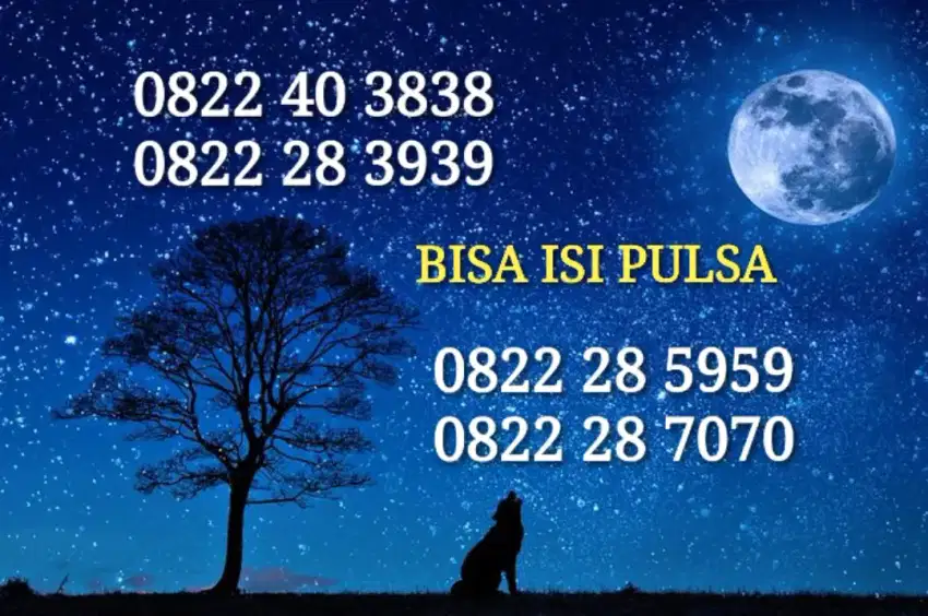 Nomor cantik bisa isi pulsa