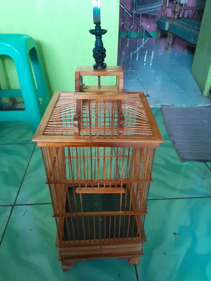 Kandang pleci baru