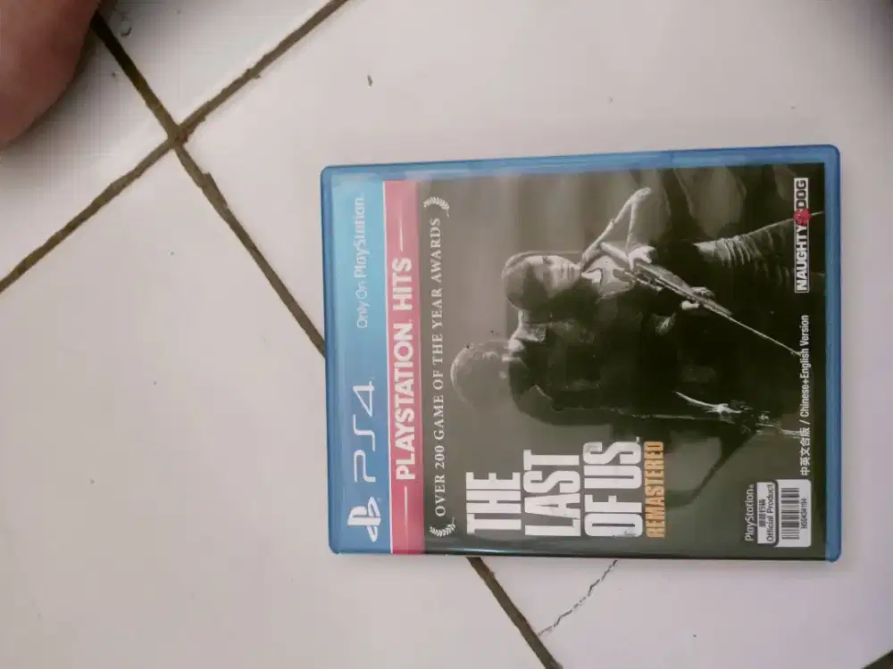 The last of US remastered