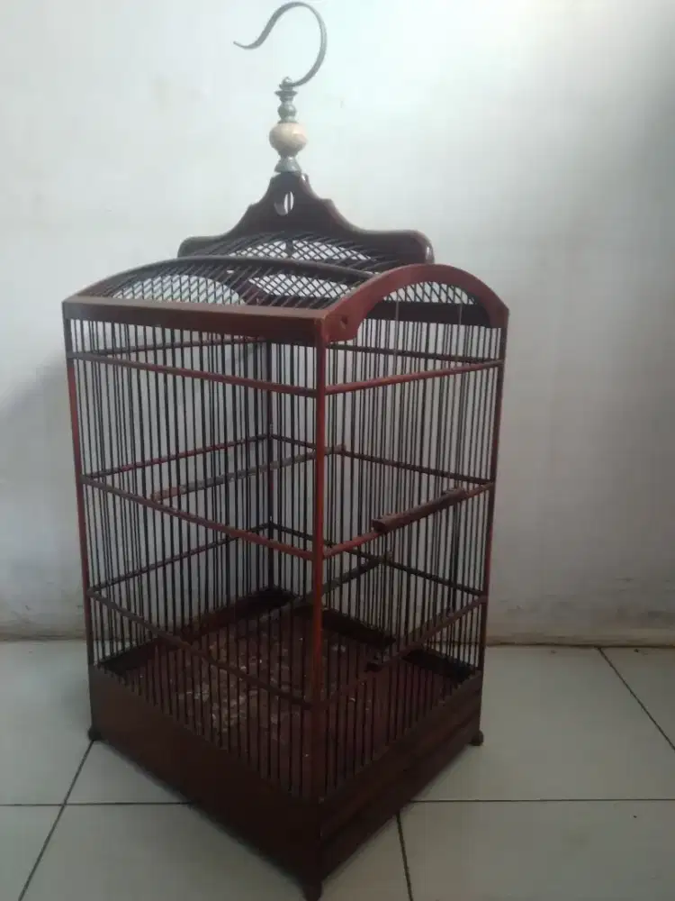 Sangkar no 3 yg minat lanjut wa