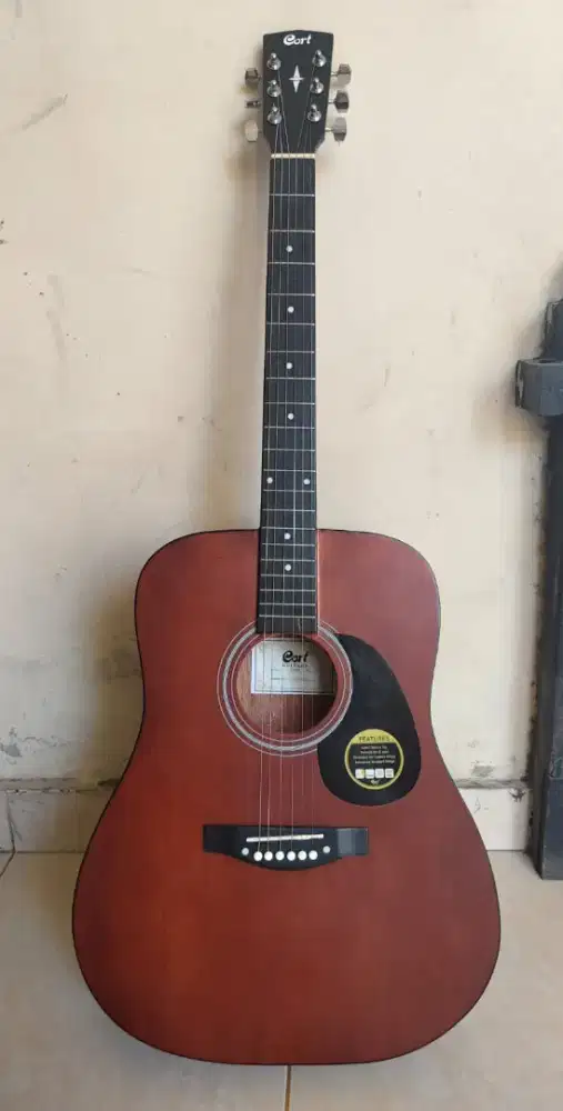 Gitar cort AD  custome