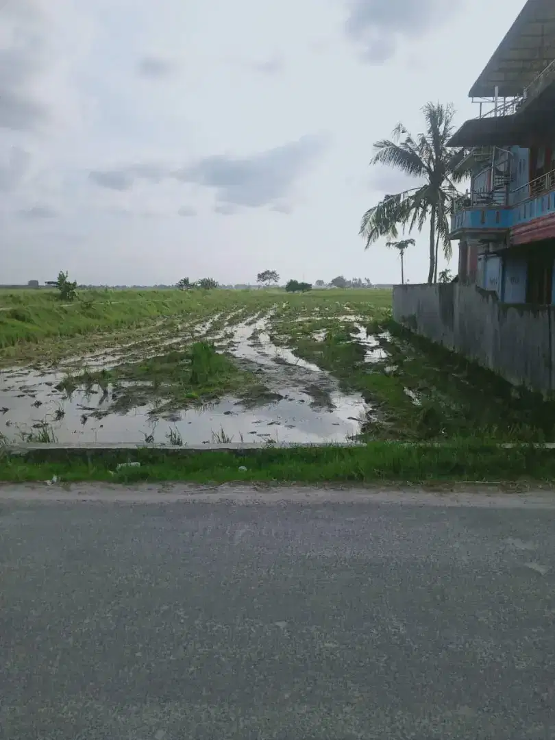 DIJUAL SAWAH PINGGIR JALAN