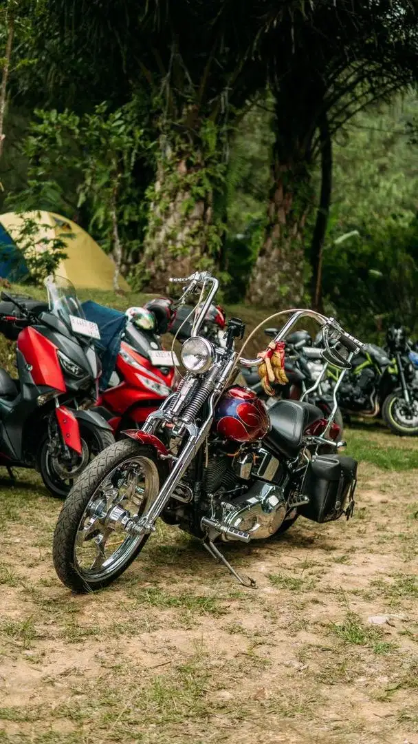 Super Rare Harley Davidson Softail Springer Evo 1995