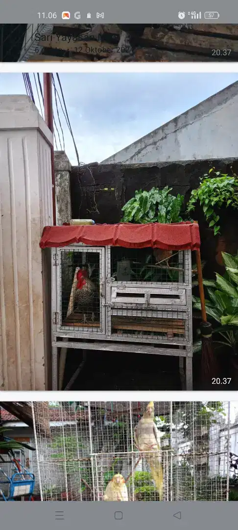 Jual kandang ayam