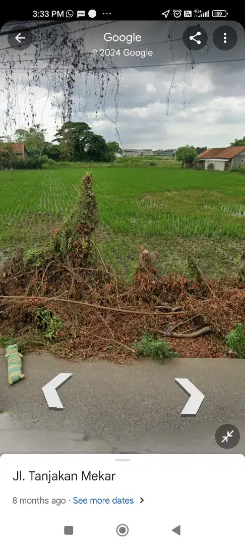 Tanah dijual Sawah Murah pinggir jalan, Tanjakan Indah Rajeg Mauk PIK