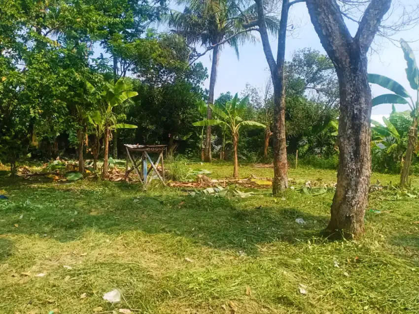 Tanah dijual di kampung cihuni