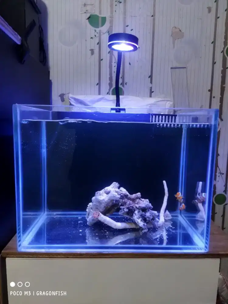 Aquarium laut fullset 40x38x30