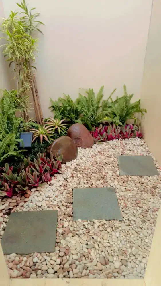 Tukang taman minimalis