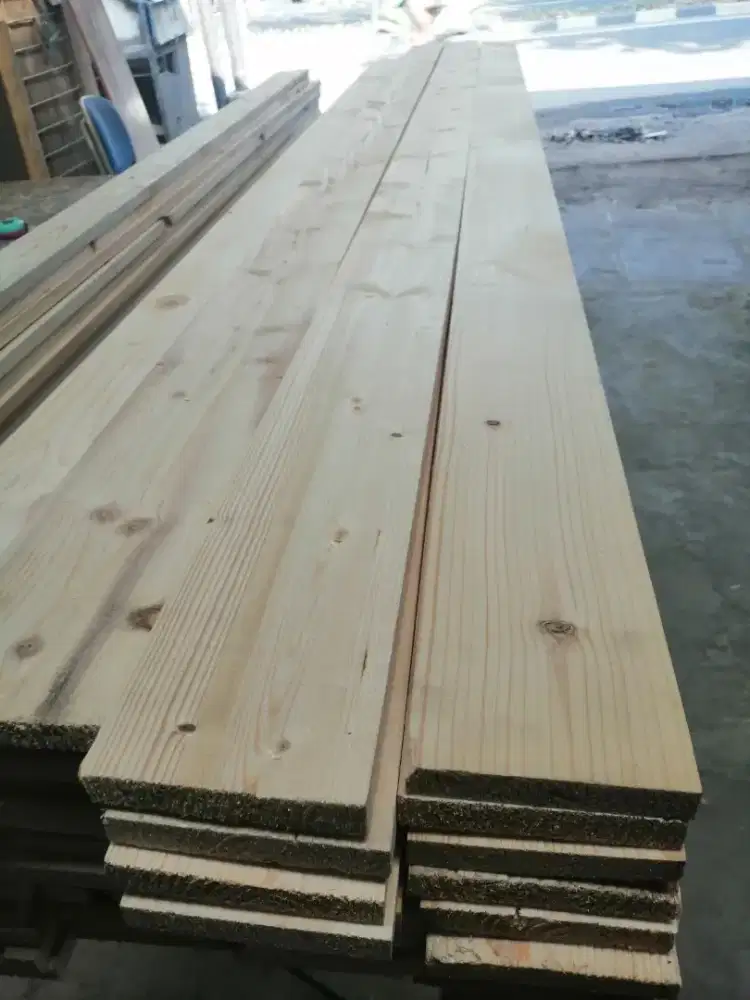 Jati Belanda Serut / 10 Batang