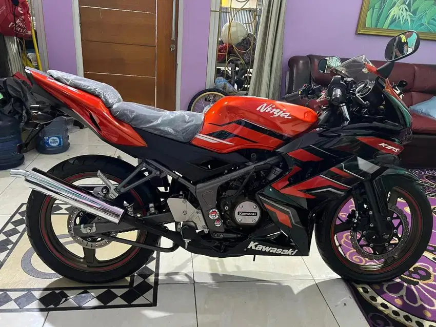 Ninja RR NOS (New Old Stock)2015 wrna favorit