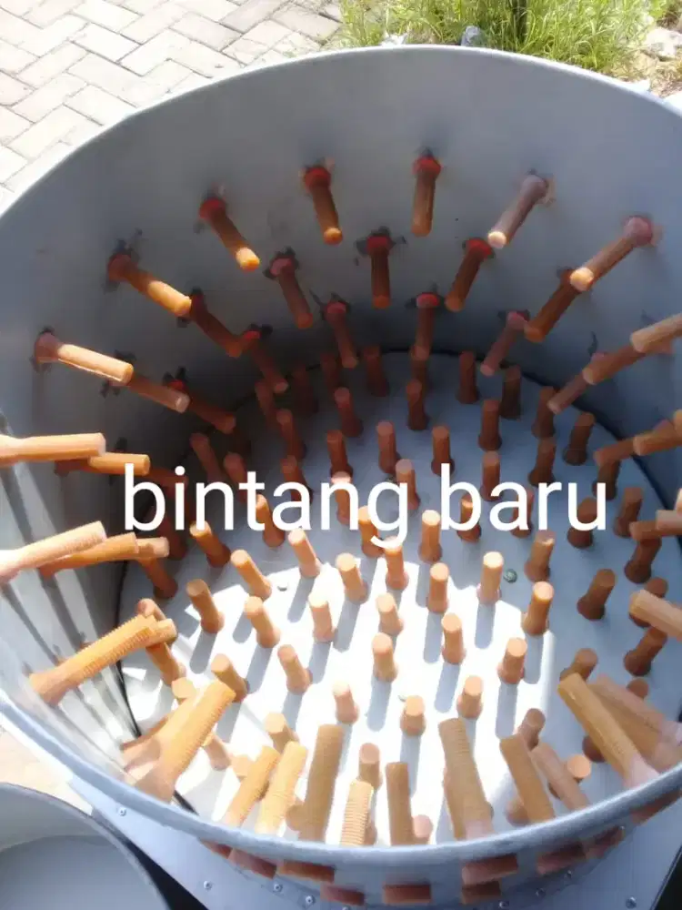 Mesen pencabut bulu ayam