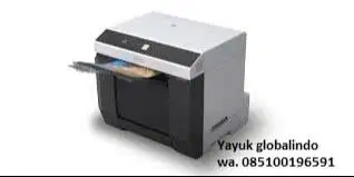 Yayuk readi printer foto Surelab D1030 epson - surabaya