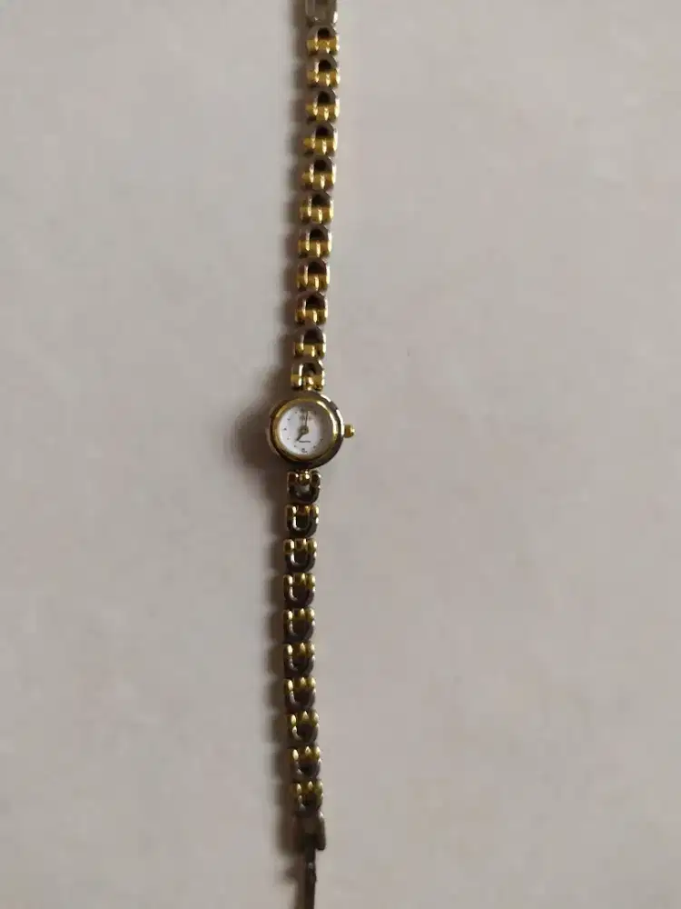 Jam Tangan TITUS ORI