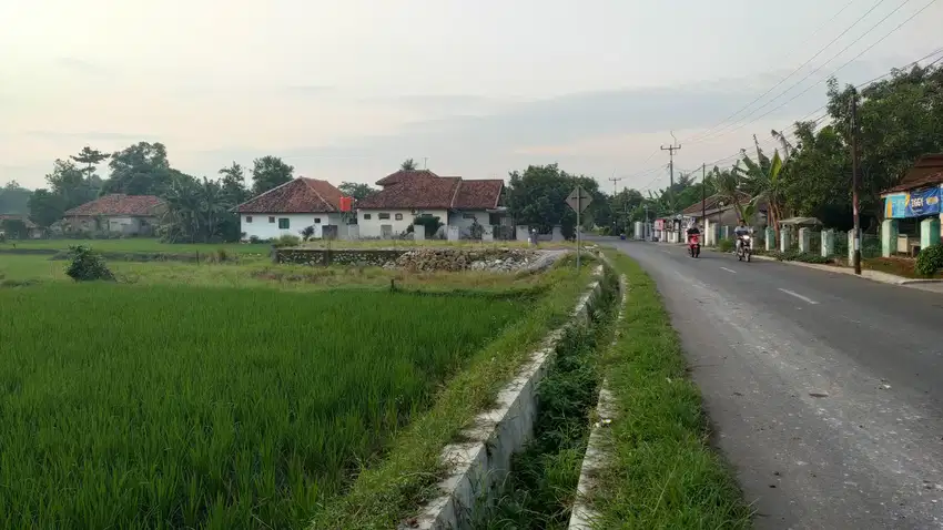 Dijual Tanah Sawah Pinggir Jalan Daerah industri di Cibatu Purwakarta