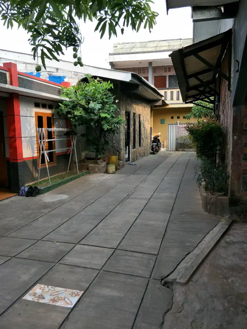 Rumah, Rumah Kontrakan dan Kos2an
