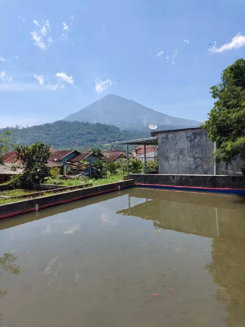 Dijual Rumah Siap Huni di Garut Harga Nego