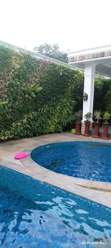 Jasa pembuatan vertical garden taman dinding