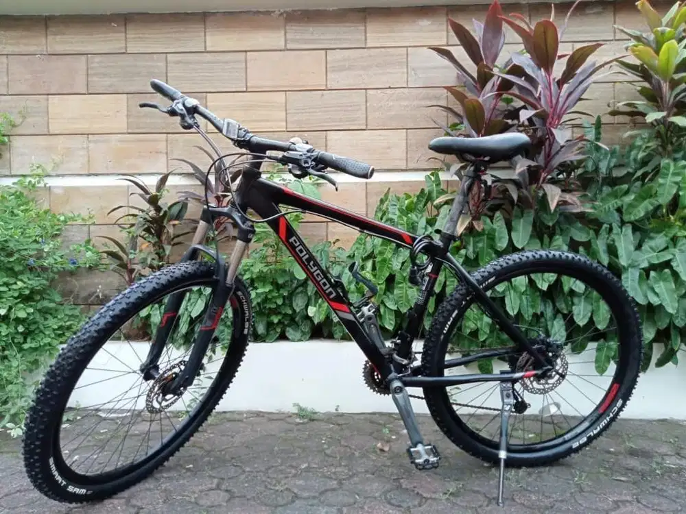 Sepeda polygon xtrada 5