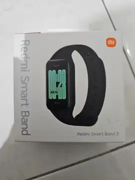 Smartwatch Redmi Smart Band 2