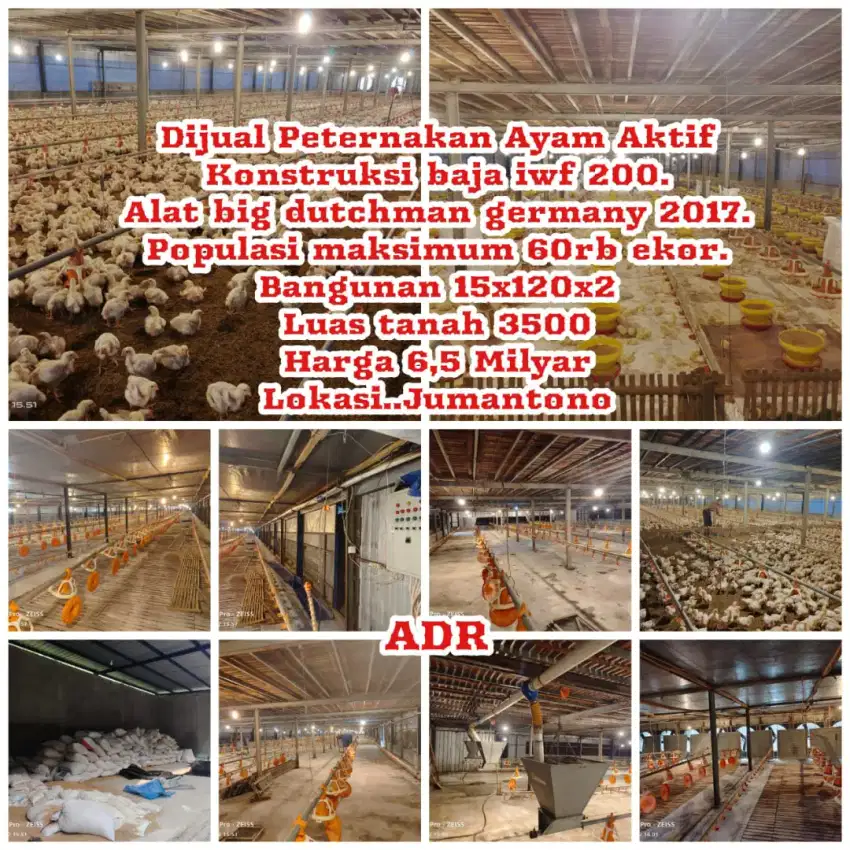 Dijual Peternakan Ayam Aktif Jumantono