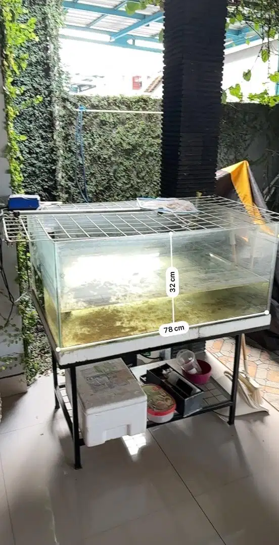 Aquarium bekas cocok buat ikan apa saja