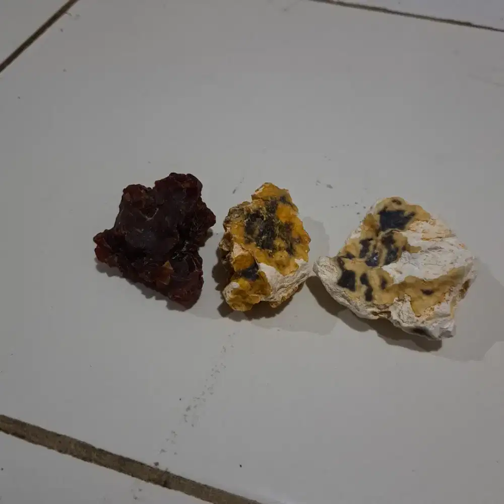 Natural bahan batu akik red raflesia bengkulu