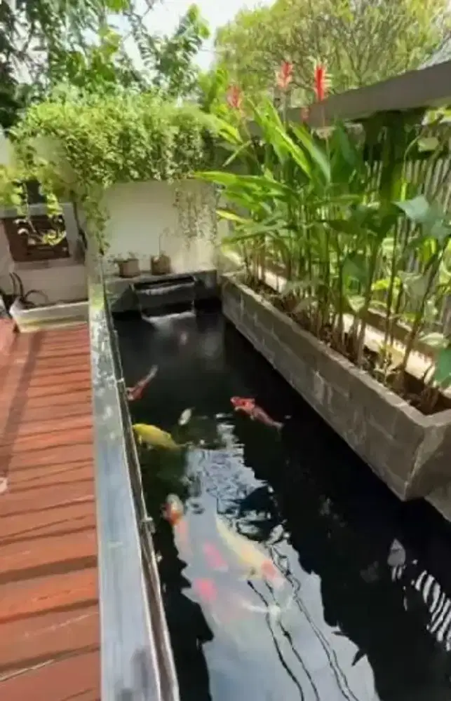 Kolam ikan minimalis